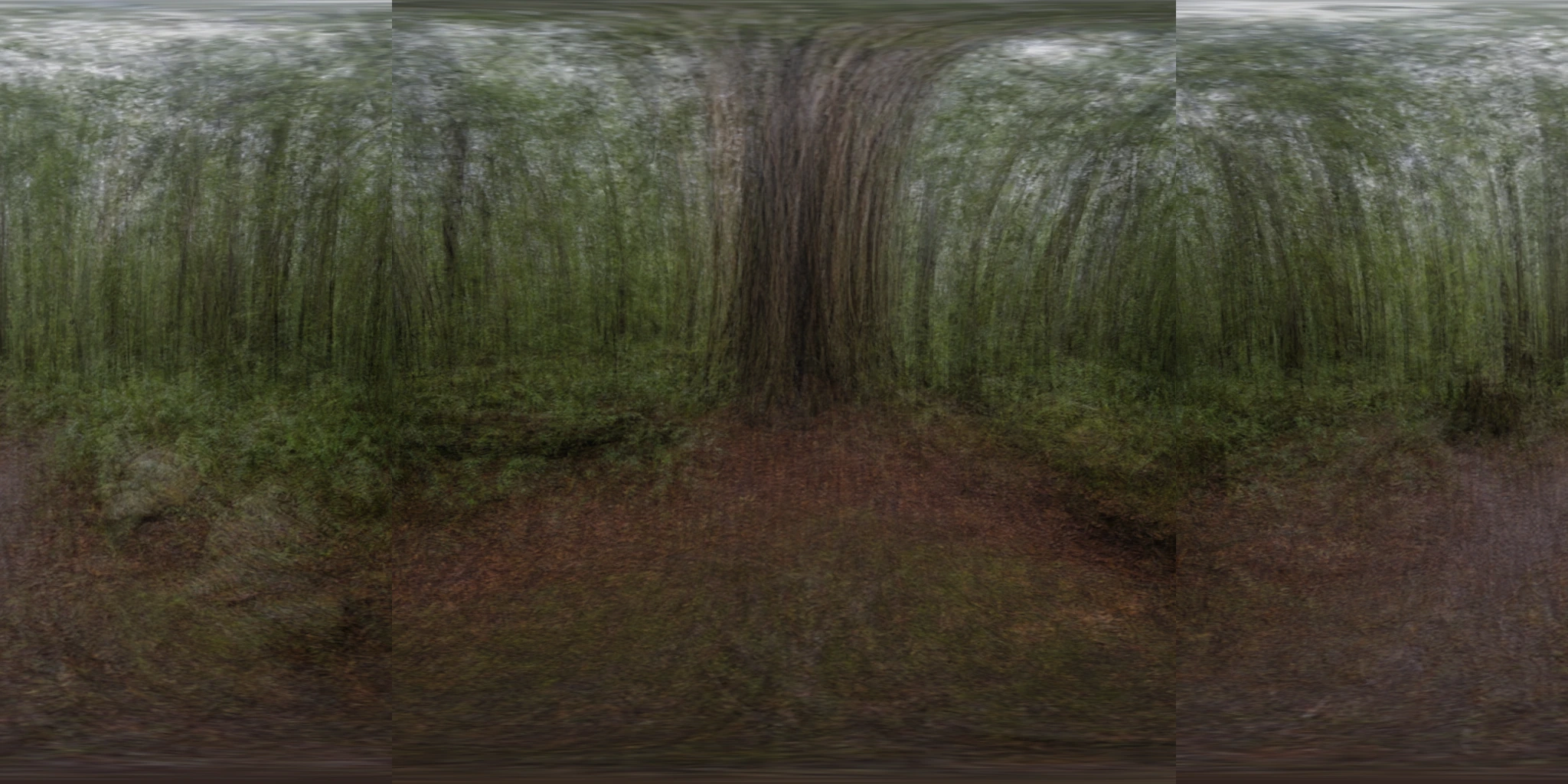 Eight-way dual-fisheye pilot composite after inversion to an equirectangular view
